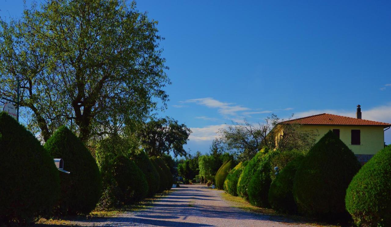 Agriturismo Il Cuscino Nel Pagliaio Кампилья-Мариттима Экстерьер фото
