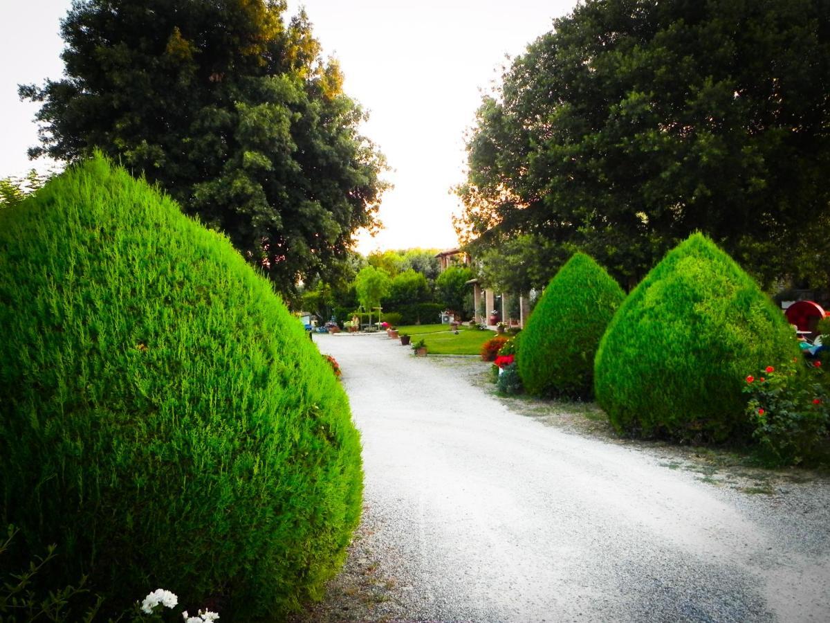 Agriturismo Il Cuscino Nel Pagliaio Кампилья-Мариттима Экстерьер фото